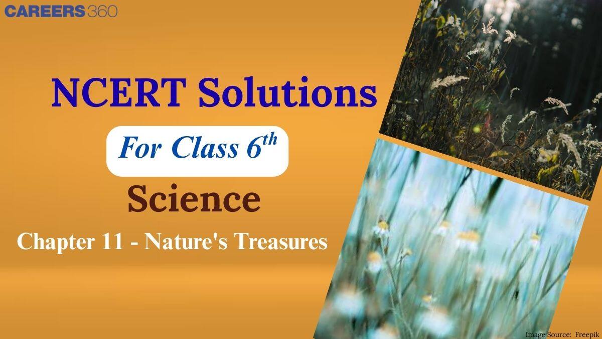 NCERT Solutions for Class 6 Science Chapter 11 - Nature's Treasure
